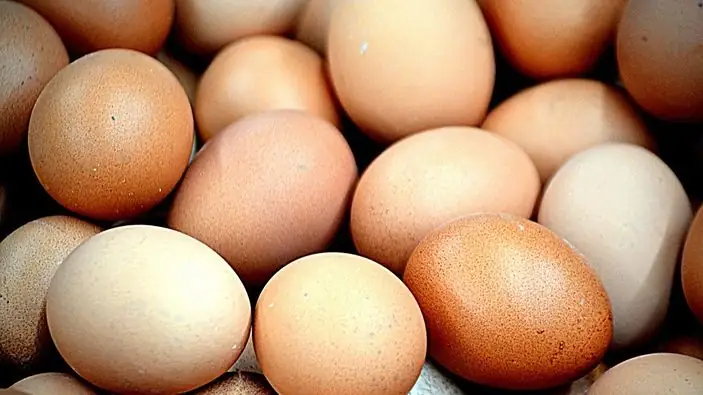 Harga Telur Tembus Rp32 Ribu per Kg di Sukabumi, Distributor Sebut Pengawasan Lemah