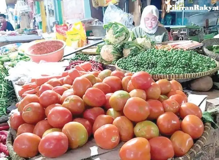 Harga Tomat Melonjak hingga 100 Persen, Cabai Justru Terjun Bebas
