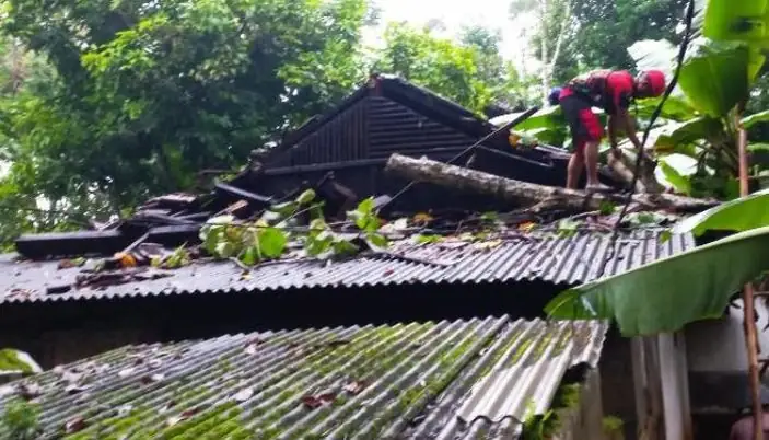 Hujan Deras Disertai Angin Kencang Landa Ciamis, Sebuah Rumah Tertimpa Pohon Tumbang