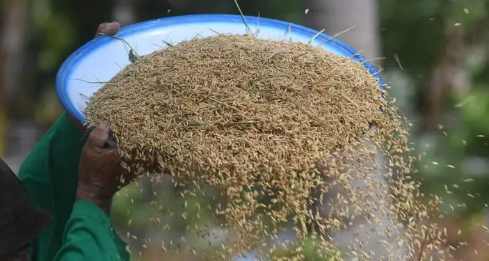 Kwichon, Peluang Kita Kembali ke Desa Saat Anak Muda Berkiblat ke Korea